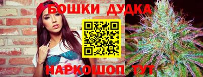 крисы Партизанск