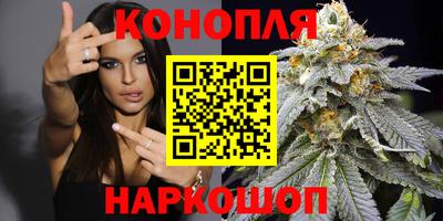 крисы Партизанск