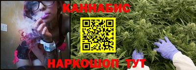 крисы Партизанск