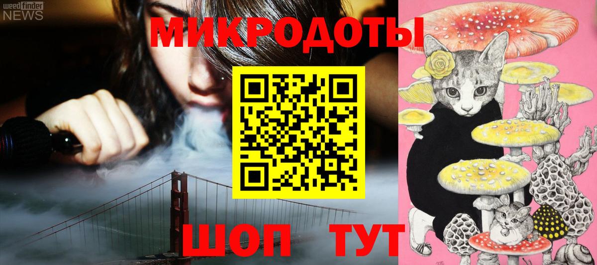 Галлюциногенные грибы Psilocybe Петропавловск-Камчатский