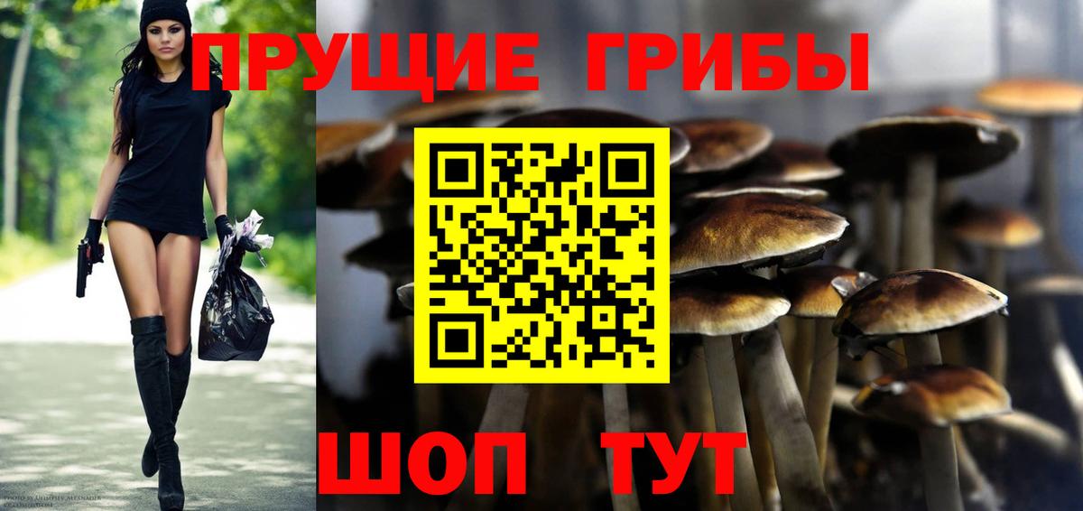 Петропавловск-Камчатский  Псилоцибиновые грибы ЛСД  Вход с VPN 